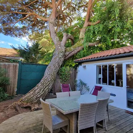 Bagatelle A 300m De La Centrale, 3 Holiday home *